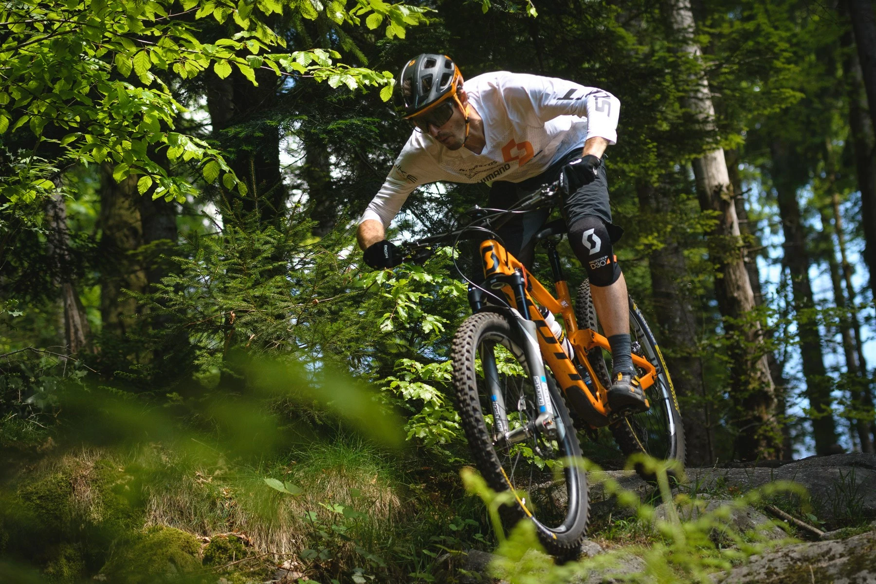 Page de garde -Vélo de voyage Soldes 110308765 10158222061580211 7269312108539038961 n